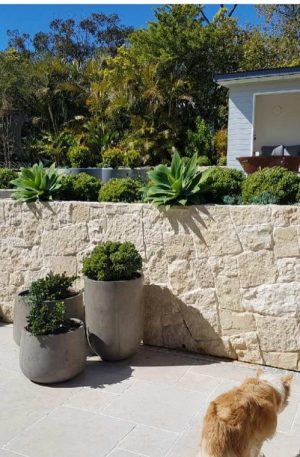 Les parements en pierre naturelle incarnent l'essence même de la sophistication et de l'authenticité. Ces revêtements intemporels ajoutent une touche d'élégance et de caractère à n'importe quel espace, que ce soit à l'intérieur ou à l'extérieur. Dans cet article, nous explorerons les caractéristiques distinctives de ces parements en pierre naturelle et les multiples façons dont vous pouvez les intégrer pour sublimer votre environnement.